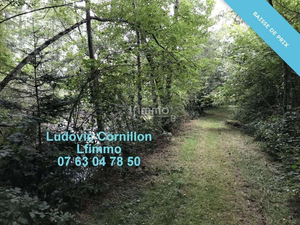 Maison à VICQ-SUR-BREUILH