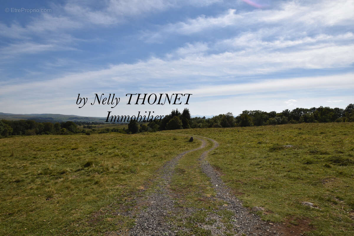 Maison à BESSE-ET-SAINT-ANASTAISE