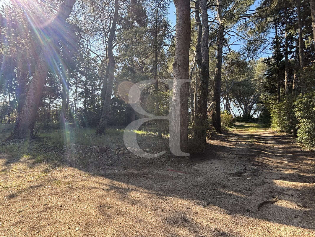 Maison à VAISON-LA-ROMAINE
