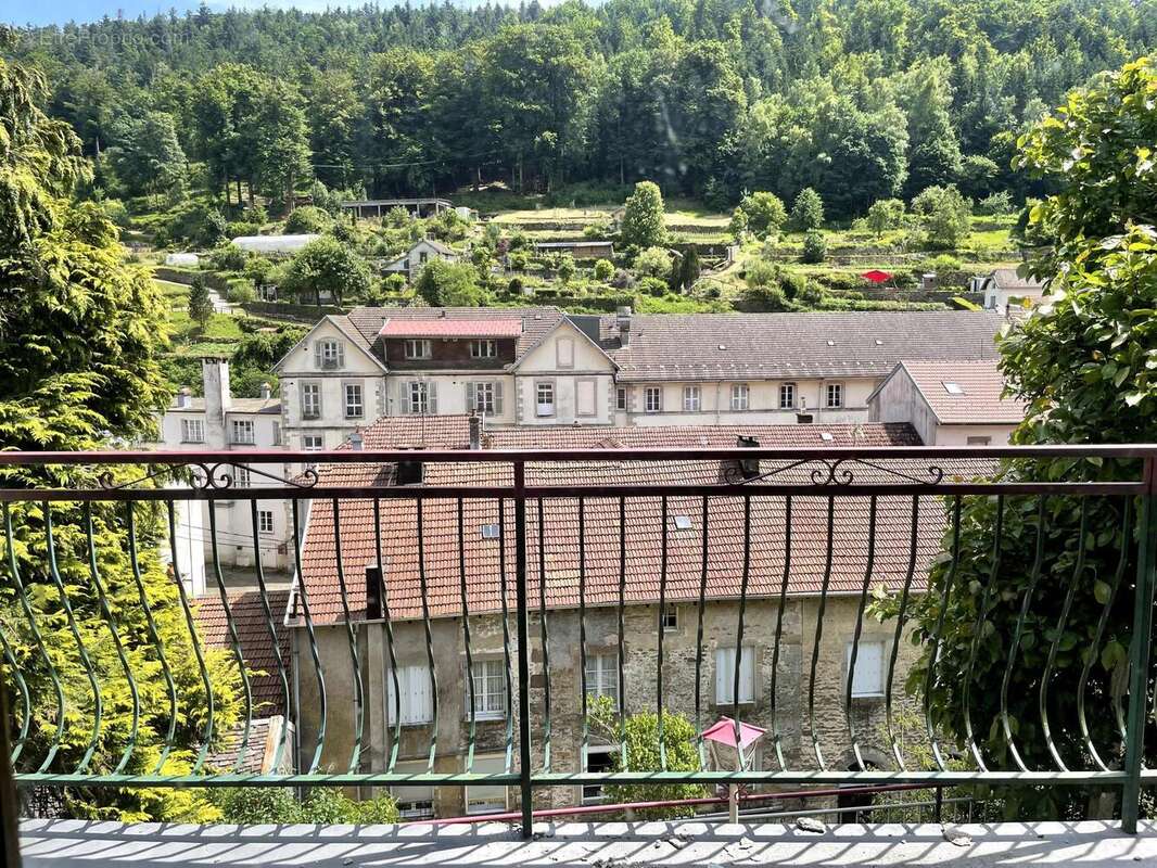 Photo 8 - Appartement à PLOMBIERES-LES-BAINS