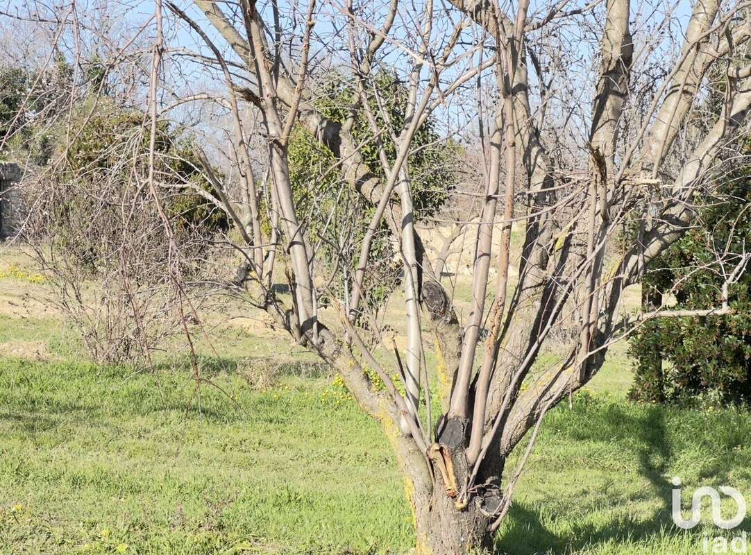 Photo 8 - Terrain à SAINT-ALEXANDRE