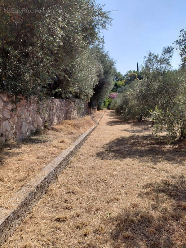 Terrain à MARSEILLE-11E