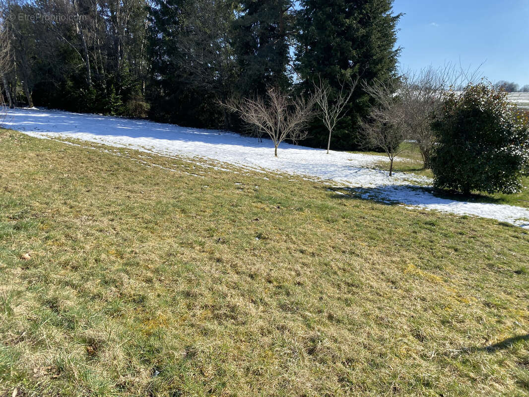 Terrain à MESSEIX