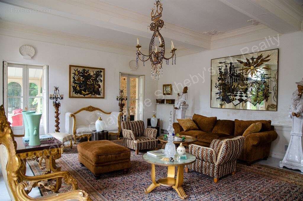 Château du XVIII, toutes commodités à pied - photo 3