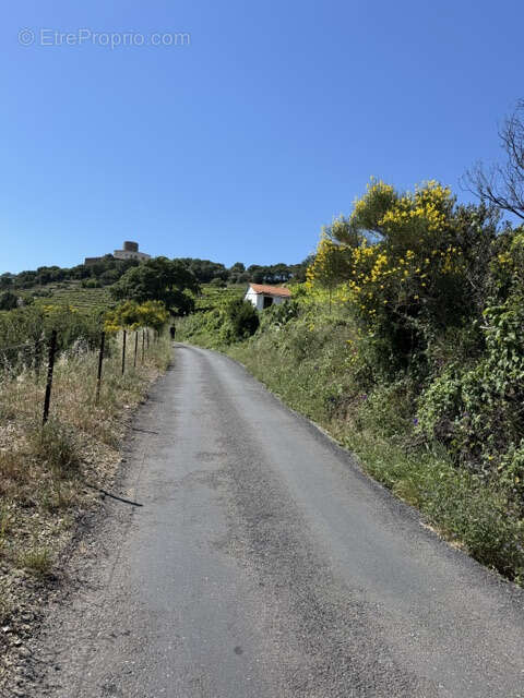 Terrain à COLLIOURE