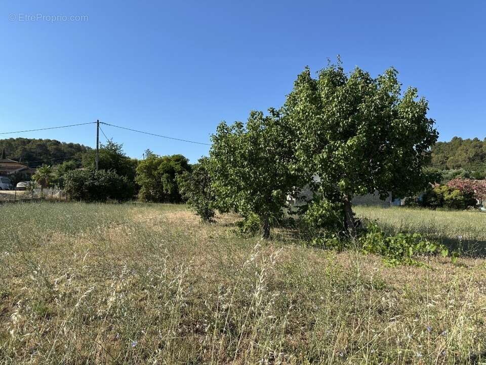 Terrain 400 m² à Pierrefeu-Du-Var  - photo 2