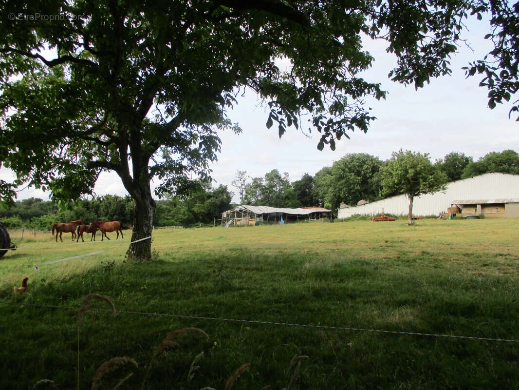 Maison à CEAUX-EN-COUHE