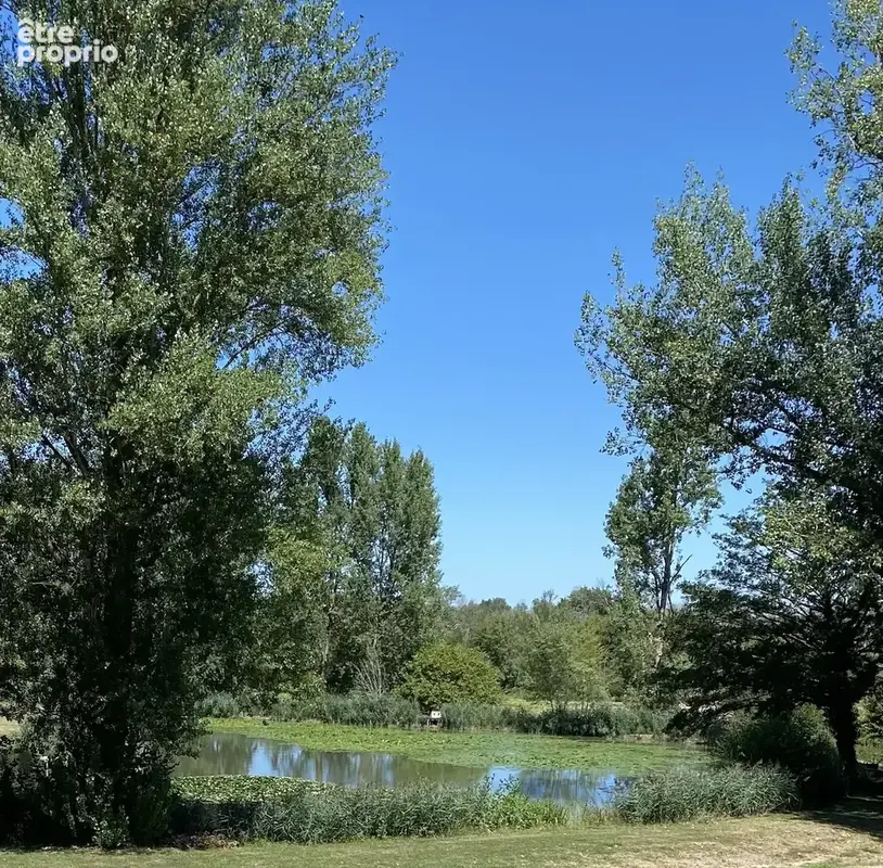 Maison d'architect avec étang, piscine, dépendances au calme. - photo 9