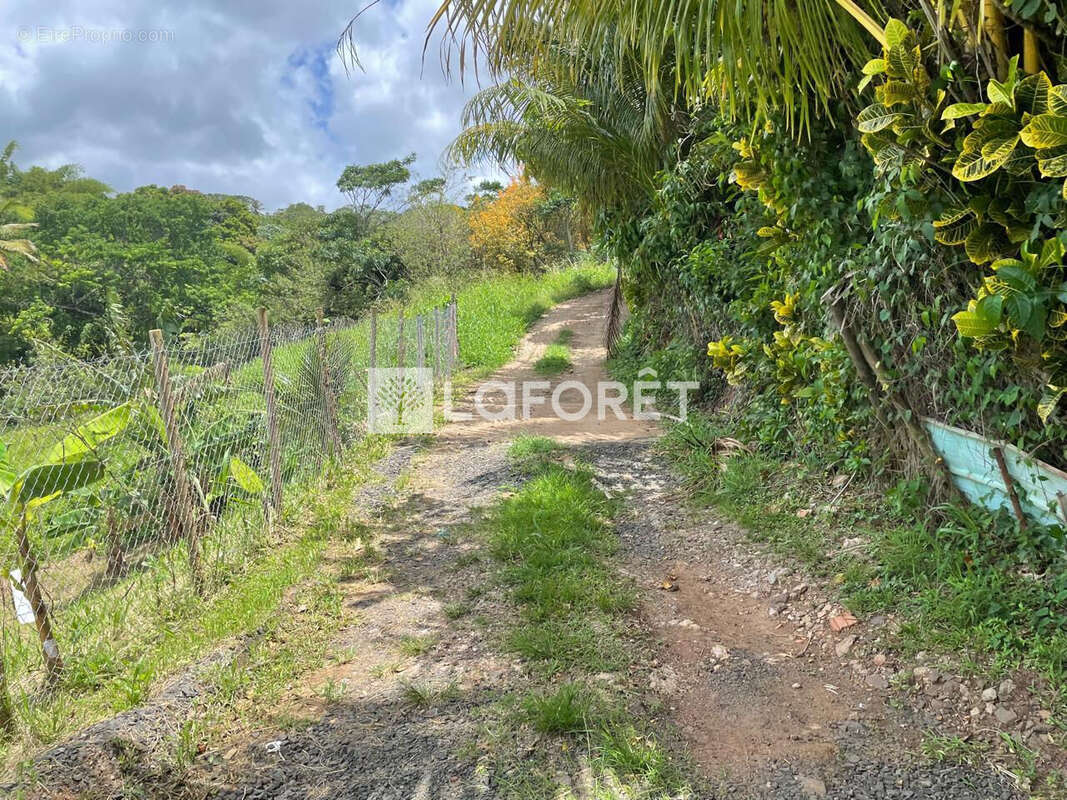 Terrain à SAINTE-LUCE