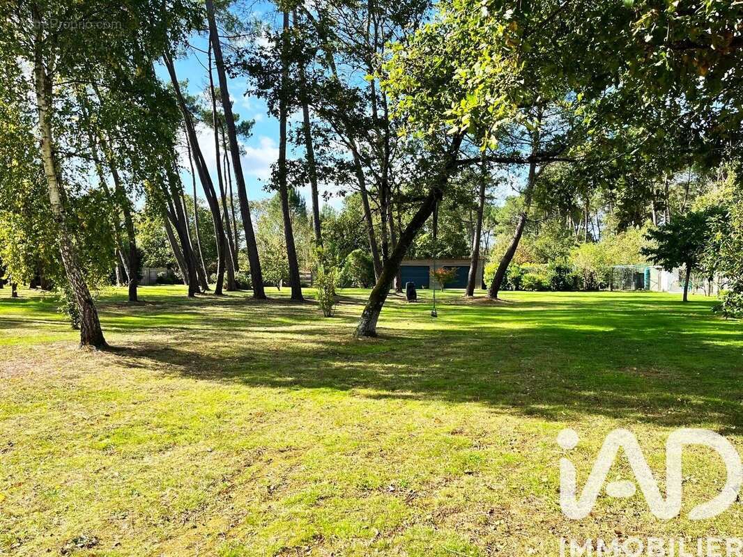 Photo 3 - Maison à BAINS-SUR-OUST