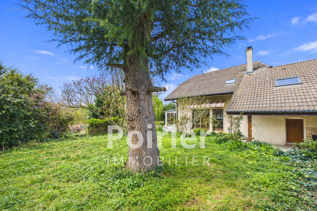 Maison à VEIGY-FONCENEX