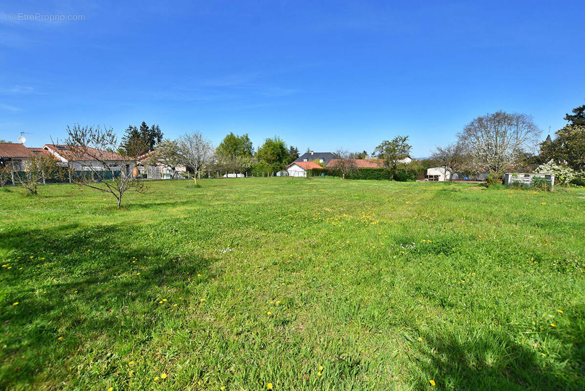 Terrain à COMMELLE-VERNAY
