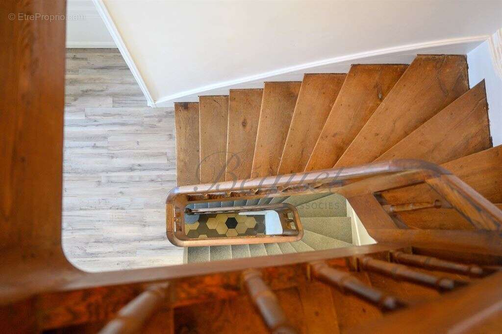 Cravant-les-Côteaux - 37500 - Maison - 325 m2 - 7 chambres - 2 gites - Piscine - parc 7000 m² - photo 16
