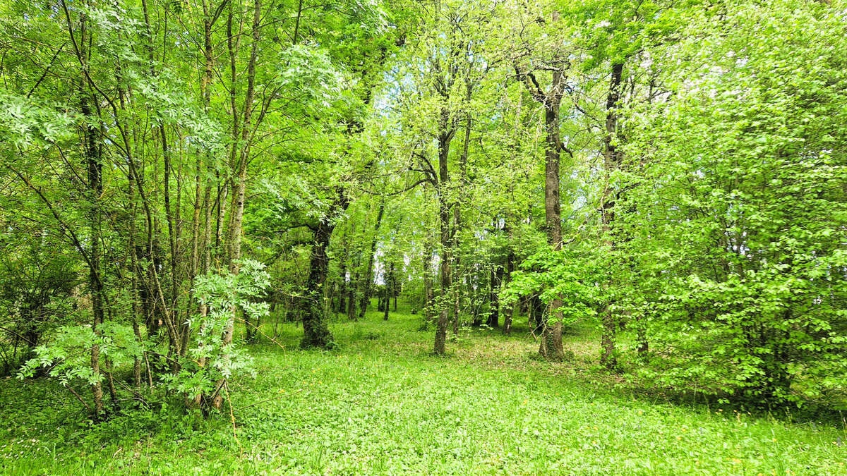 Maison à LACROIX-FALGARDE
