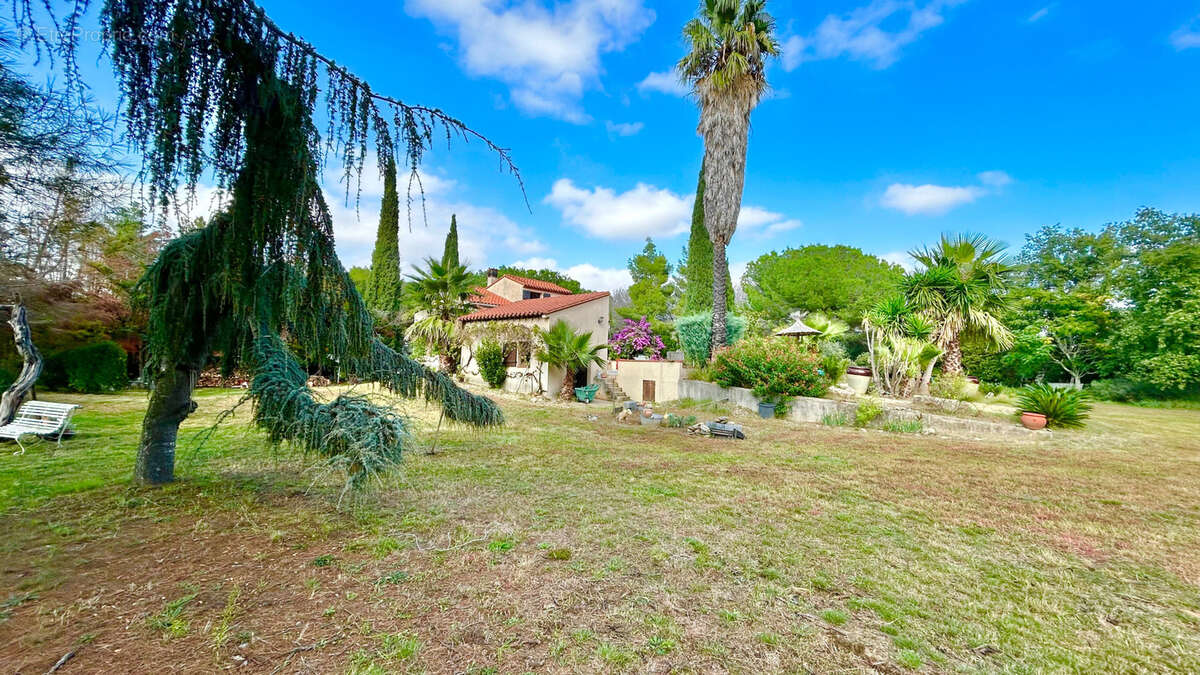 Maison à MONTESQUIEU-DES-ALBERES