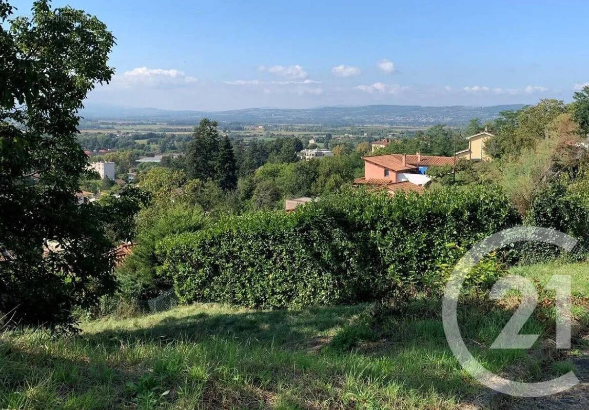 Terrain à TREVOUX