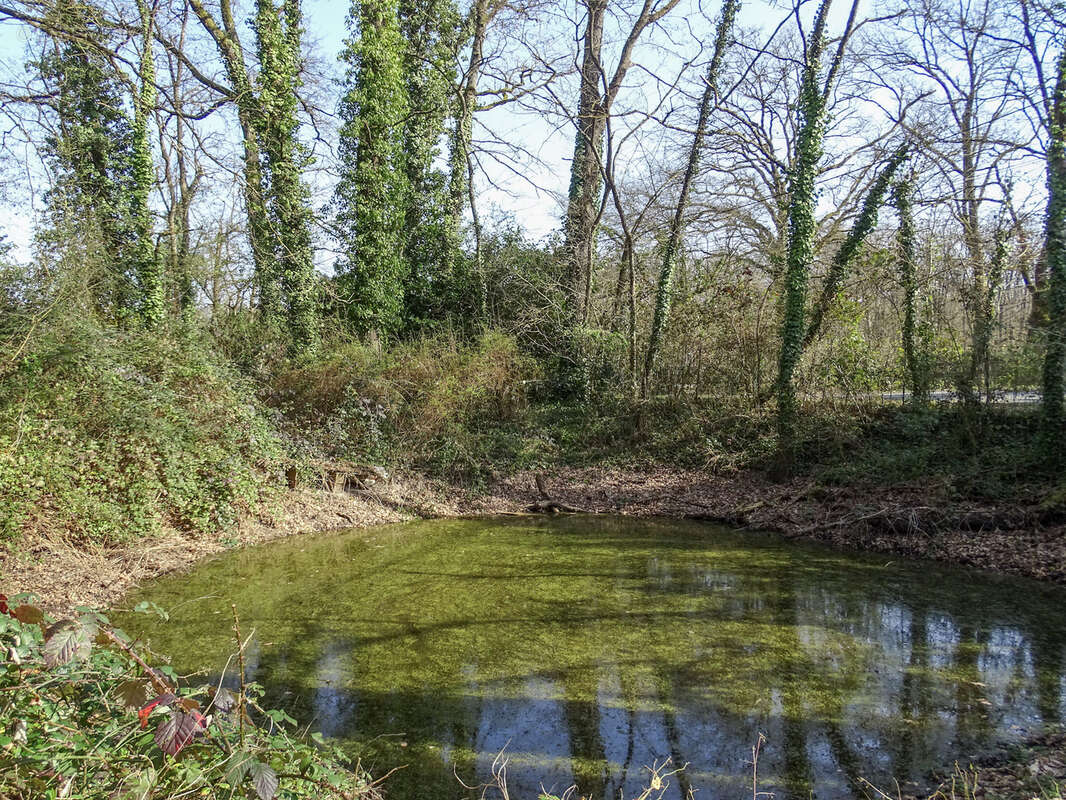 Maison à VILLEFRANCHE-SUR-CHER