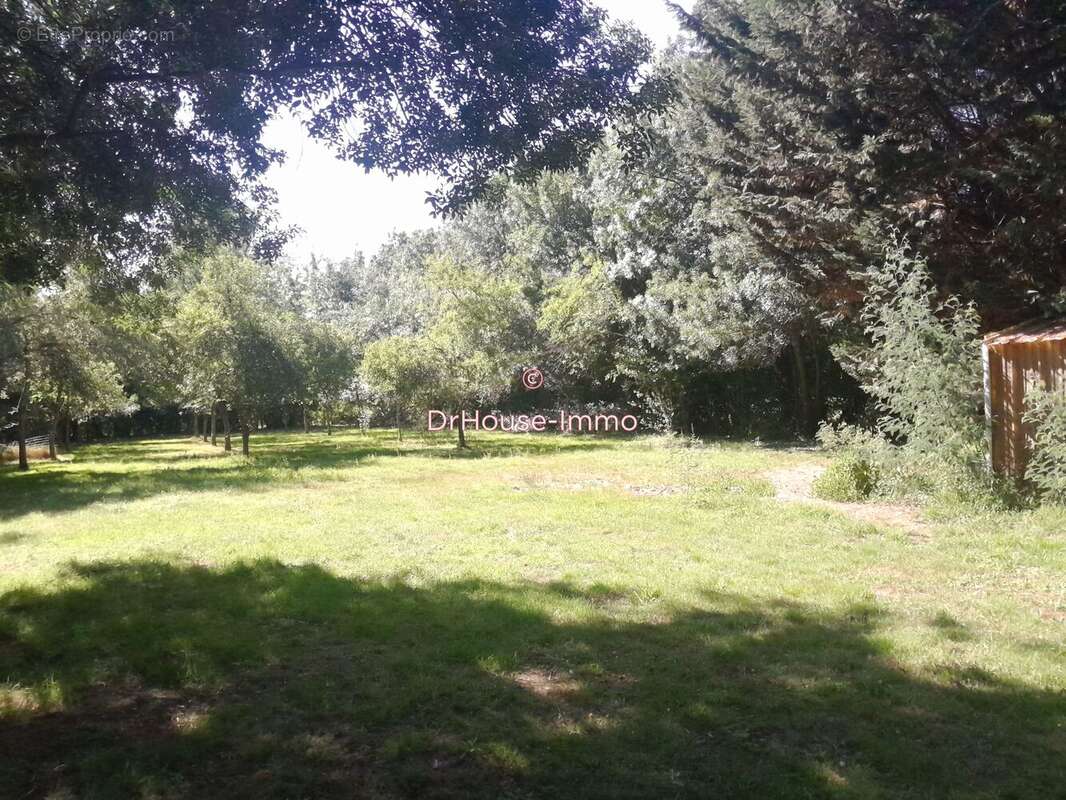 Terrain 3088 m² à Le Marillais  - photo 11