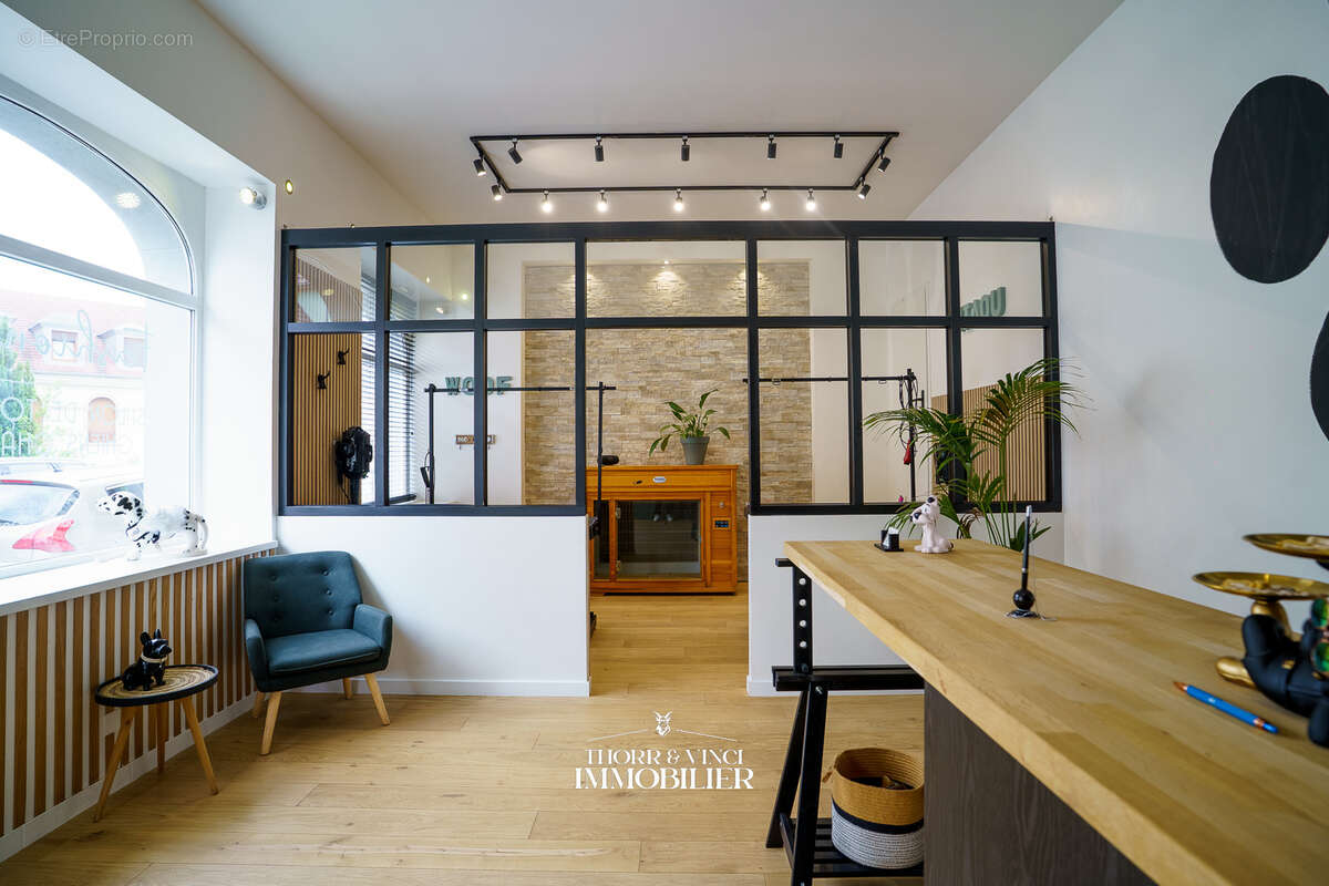 Local Professionnel- 55 m2 - Altkirch - photo 3