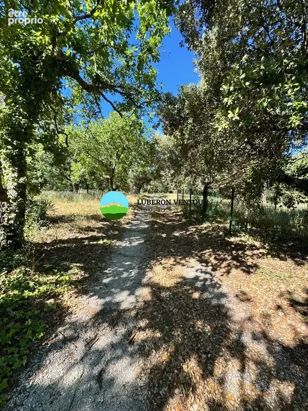 Environnement de qualité en zone agricole sur un terrain très arboré de plus de 4000m2 - photo 10