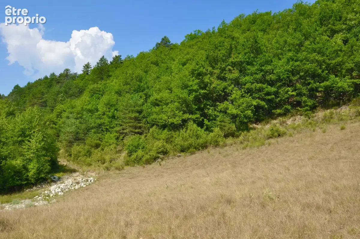 Dpt Alpes de Haute Provence (04), à vendre Proche ENTREVAUX Superbe terrain de plus d'un hectare avec vue montagnes - photo 11