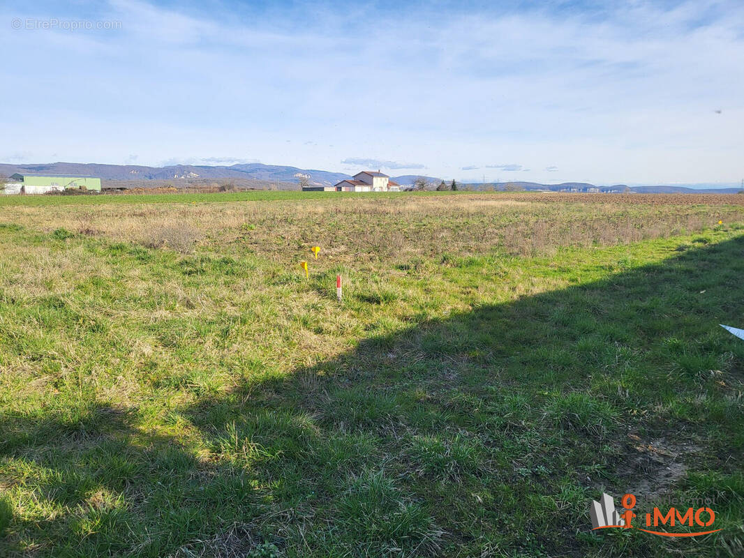 Terrain à CHAZEY-SUR-AIN