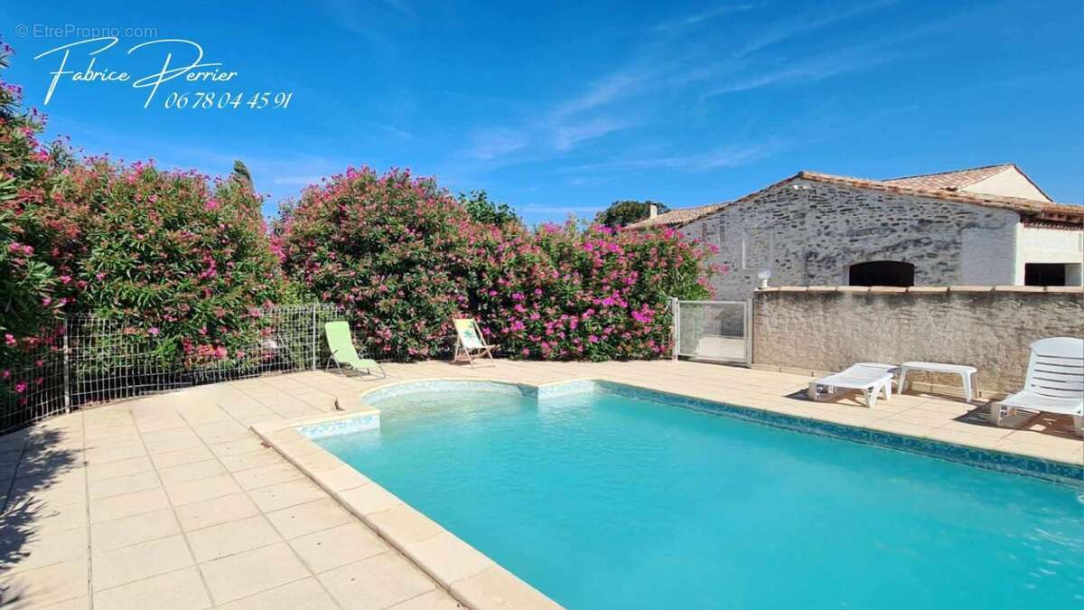 Maison 259 m2 , Dépendance 74 m²,  Abri 70m², Piscine, Terrain 3000m² - photo 2