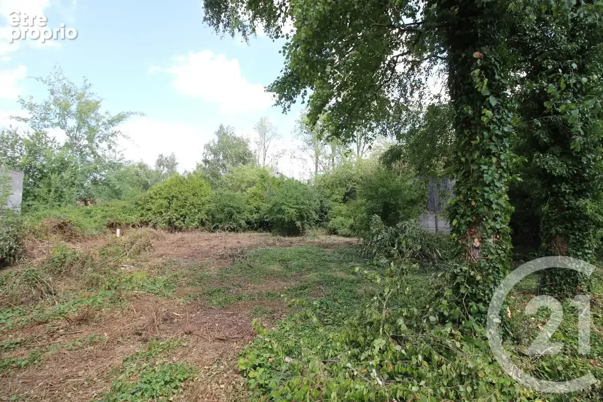 Terrain 777 m² à vendre à Nangis (77370) - photo 6