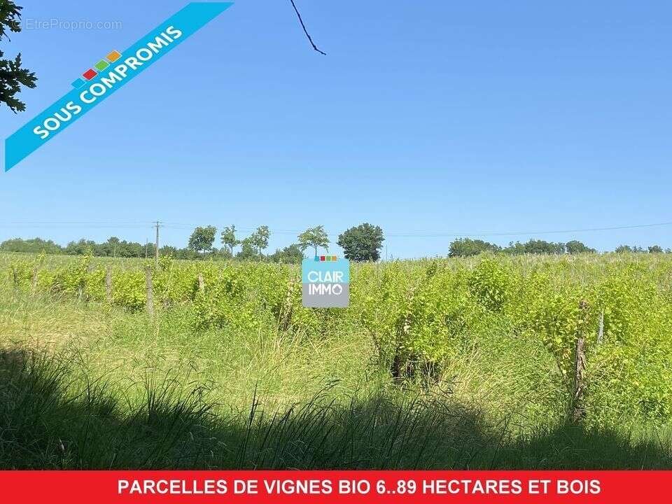 #vignes #gers #bois  - Terrain à CAZAUBON