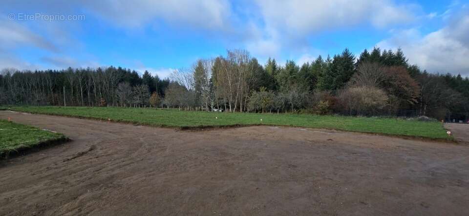 Terrain à LE PALAIS-SUR-VIENNE