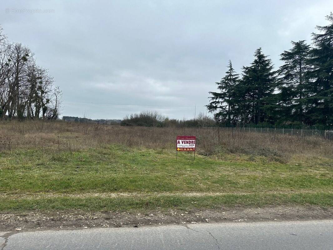 Terrain à POILLY-LEZ-GIEN