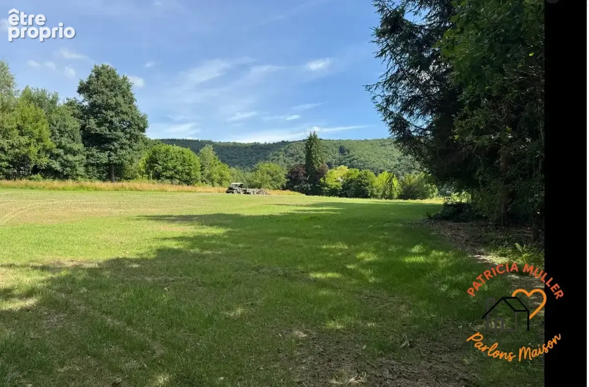 Terrain 13 451 m² à vendre à Les Hautes-Rivieres (08800) - photo 3