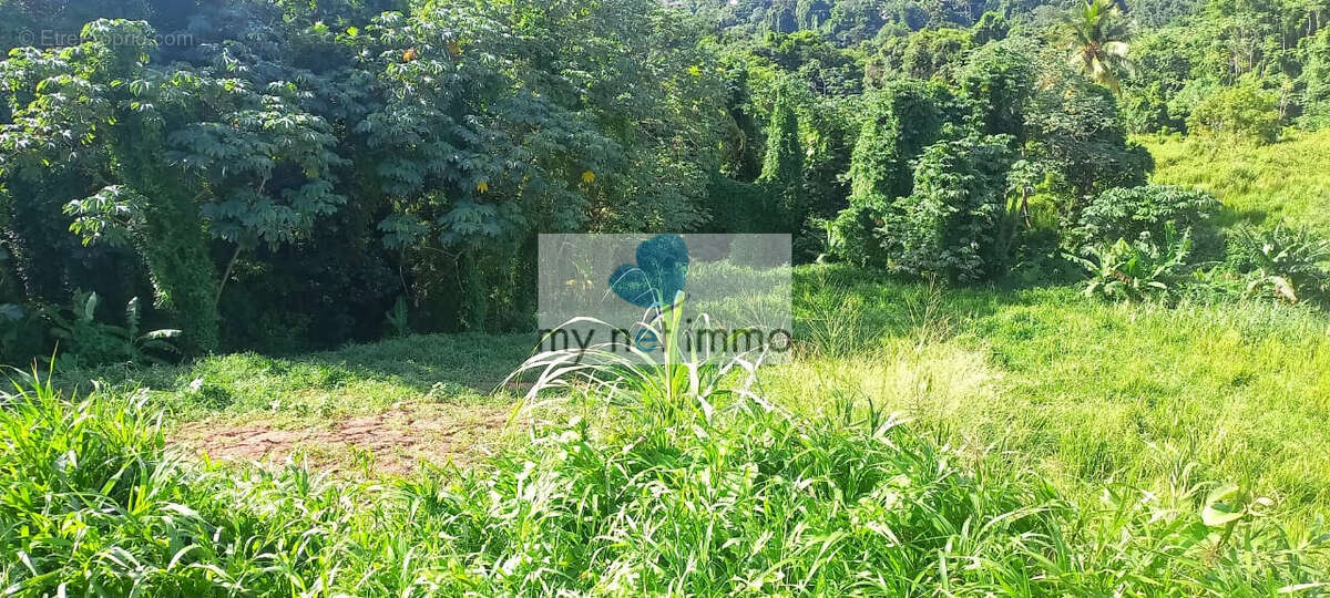 Terrain à LE LAMENTIN