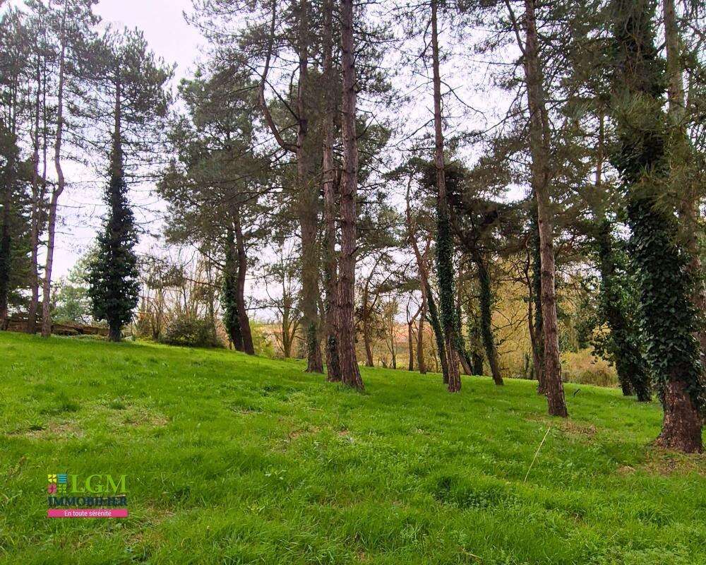 Propriété de caractère 12 pièces et 525m² au coeur d'un parc arboré de 13 497m² à Sèvremoine 49230 - photo 6