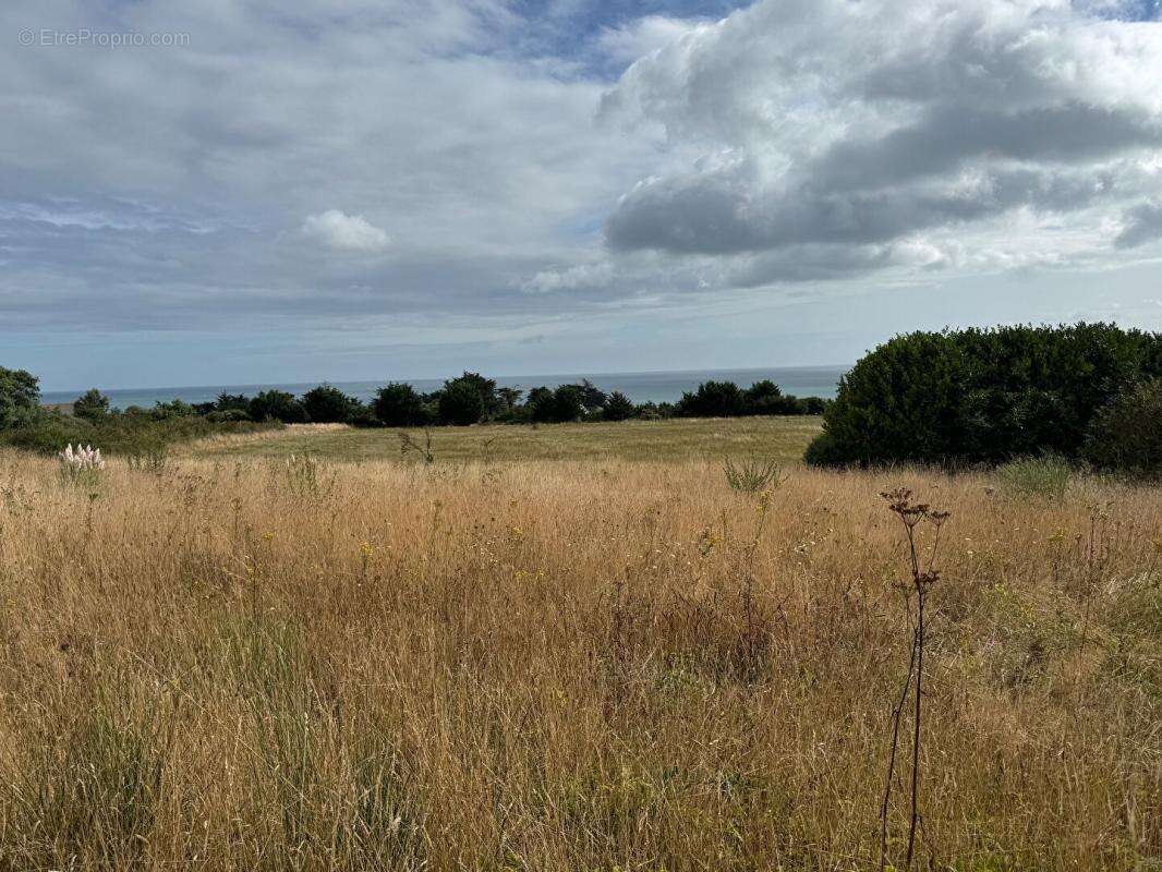 Terrain à ETABLES-SUR-MER