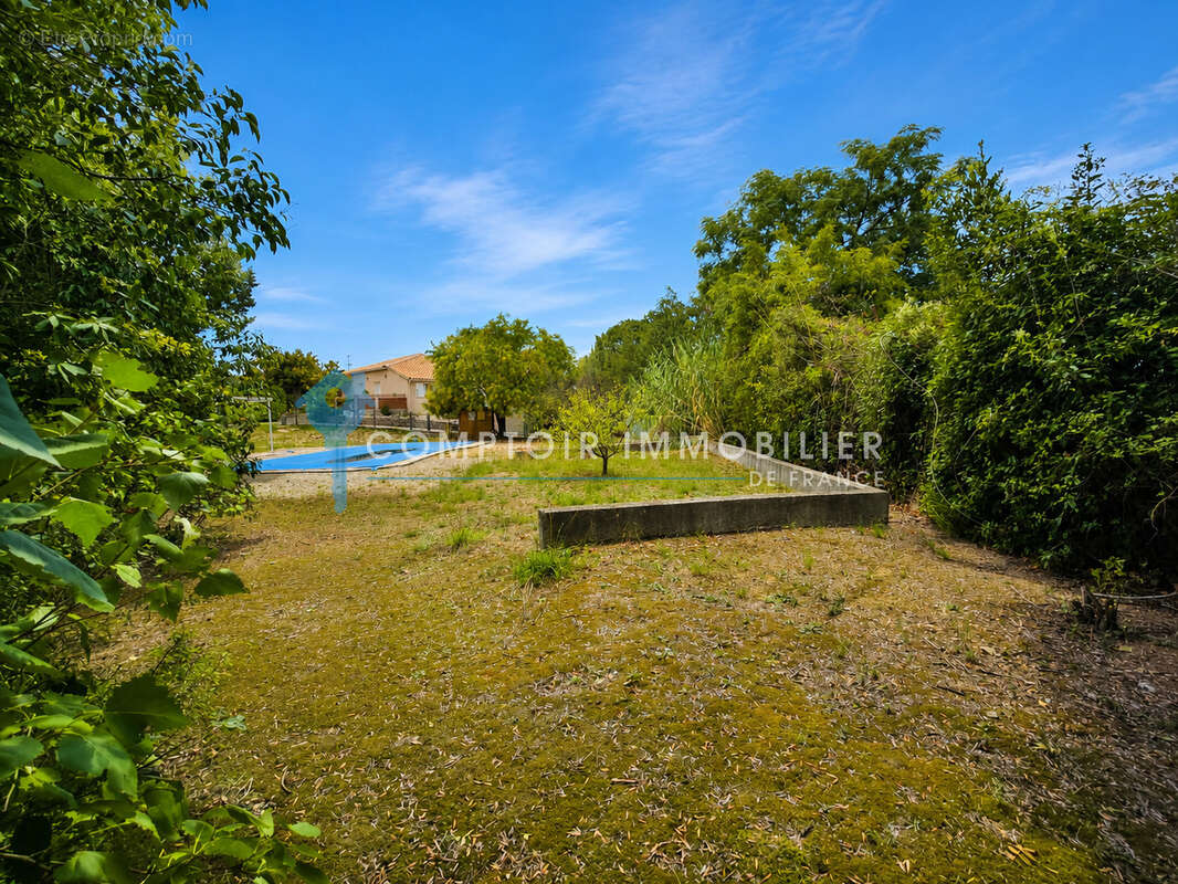 Dépt Hérault (34) - Prades le Lez - À vendre - terrain à bâtir - libre de tout constructeur-890m2- - photo 3