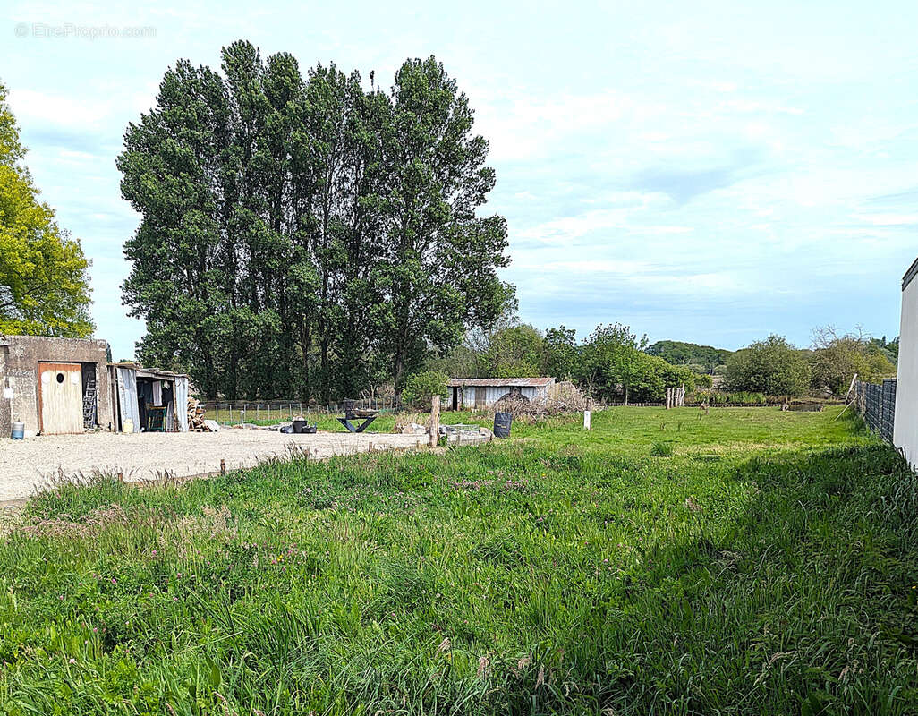 Terrain à SAINT-JOACHIM