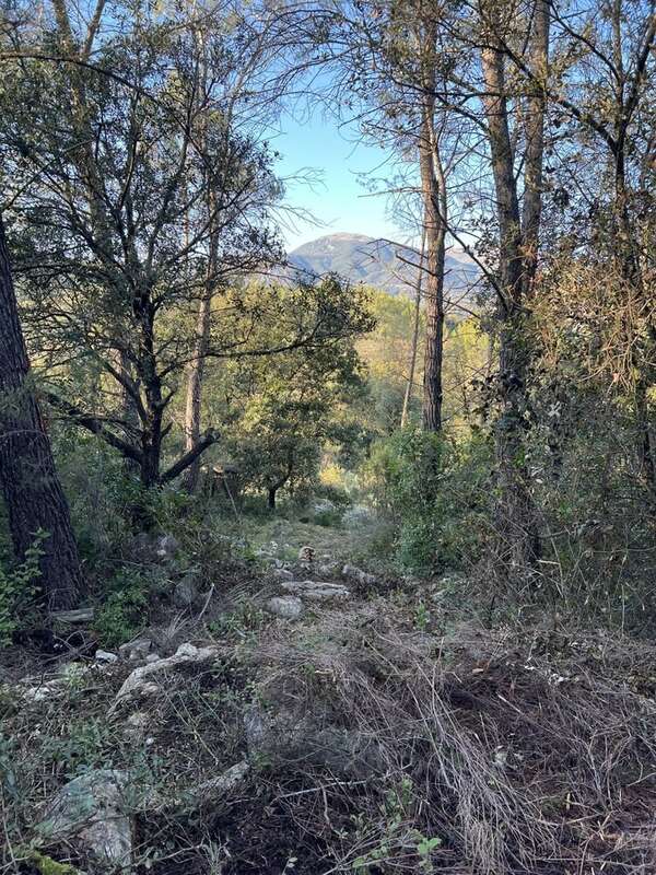 Terrain à ROQUEFORT-LES-PINS