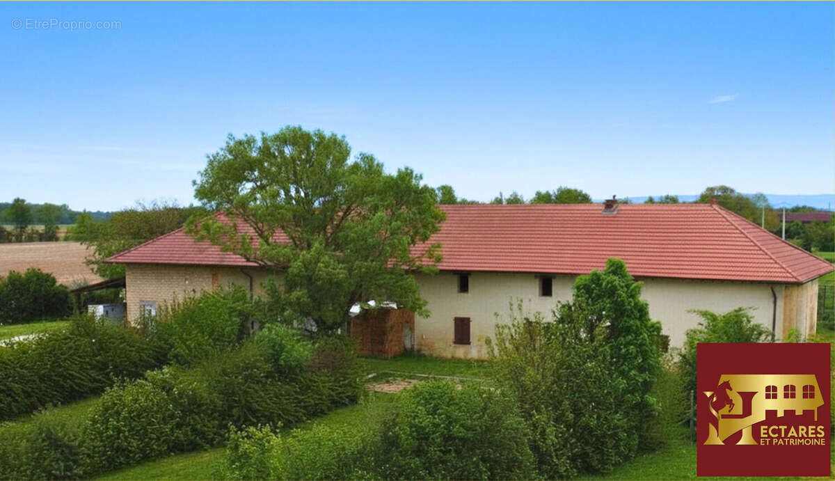Maison à FOISSIAT
