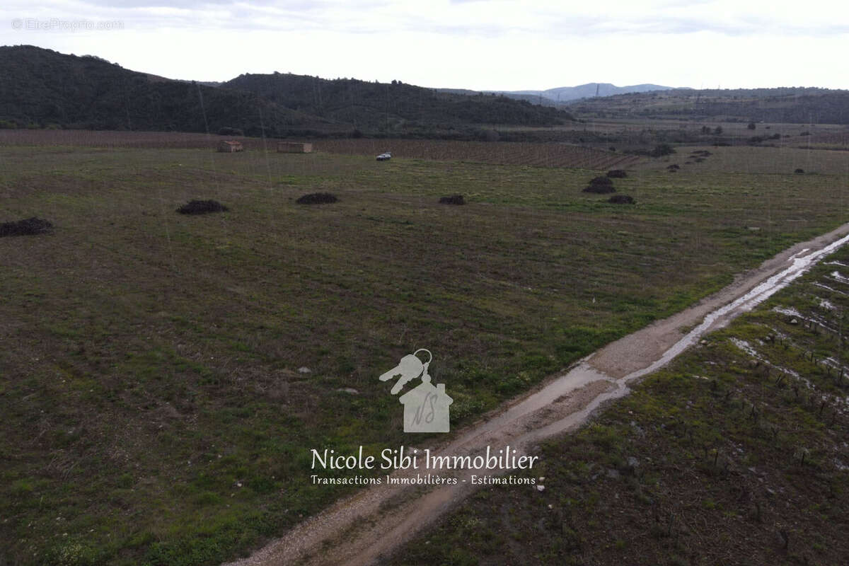 Terrain à TAUTAVEL