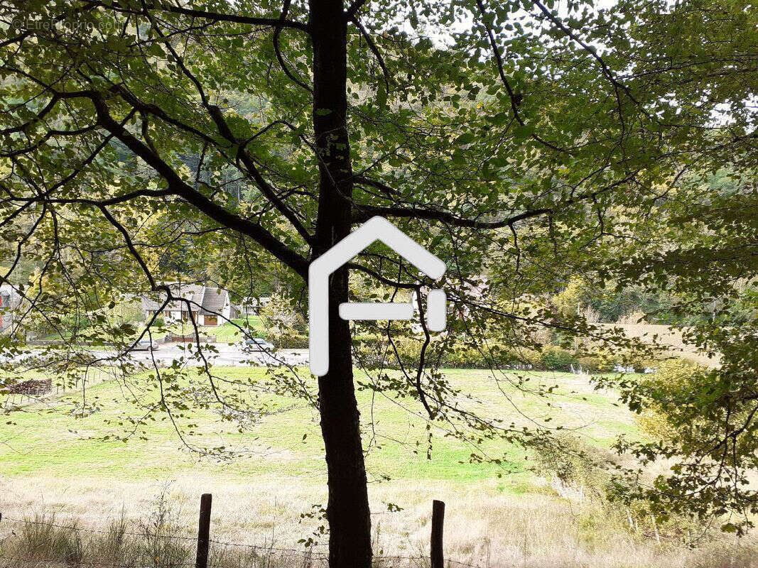 Terrain à MONCEAUX-SUR-DORDOGNE