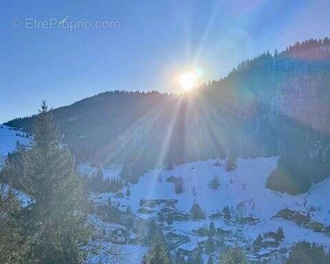 Terrain à LA CLUSAZ