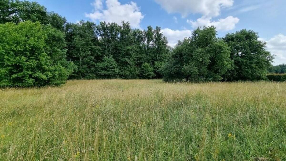 Photo 1 - Terrain à CHARMEIL