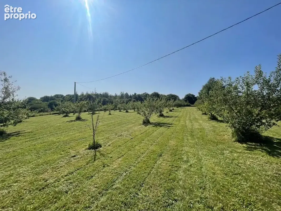 Photo Terrain à Saint-Gonlay au prix de 10 000€