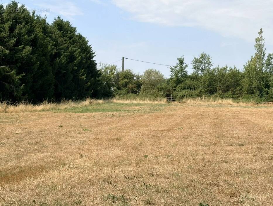 Terrain à BERNAY