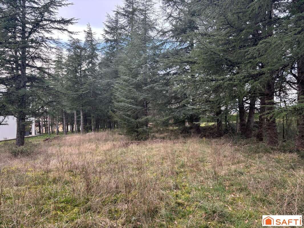 Photo 3 - Terrain à CAHORS