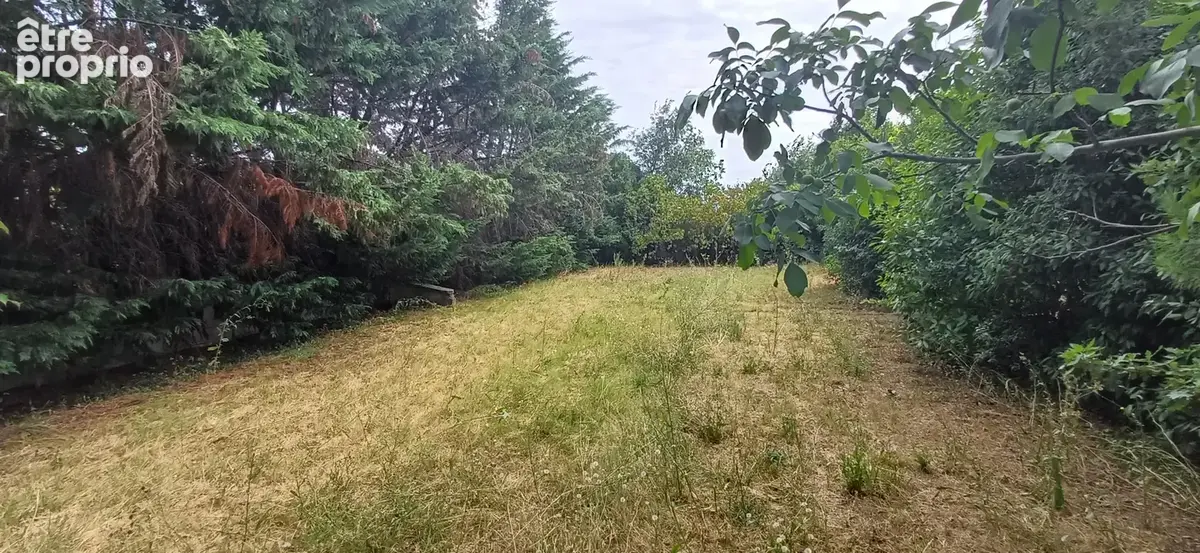 Beau Terrain surface rare - photo 6