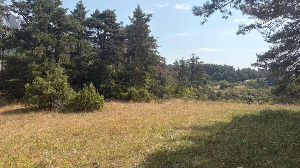 Terrain constructible de 1 990 m² – Un cadre naturel privilégié - photo 6