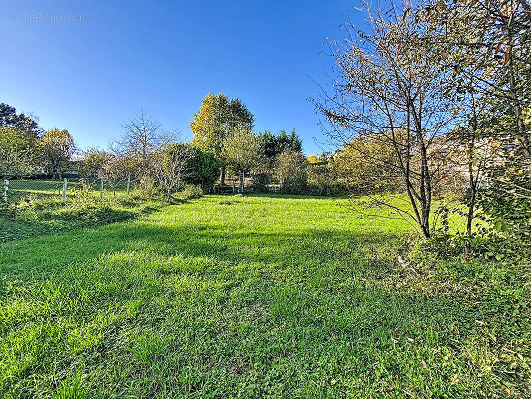 Terrain à MEXIMIEUX