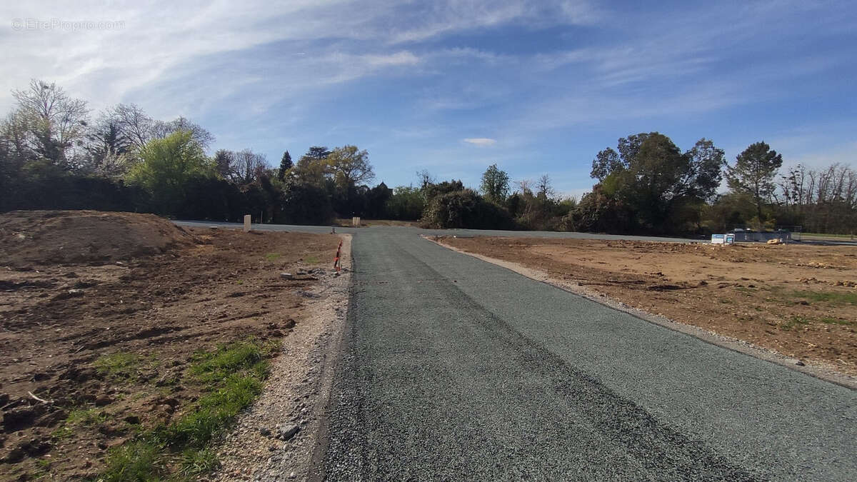 Terrain à CAMBLANES-ET-MEYNAC